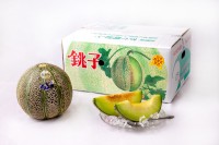 「幻のメロン」アムスメロンなど、2026年産「銚子メロン」6月1日より出荷開始