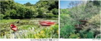 ROKKO森の音ミュージアムで「ROKKO山涼みフェス2026」開催！自然と音楽で涼を感じるイベント