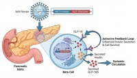 Cloud-Clone、肥満・代謝性疾患研究を加速する高精度バイオ試薬を提供