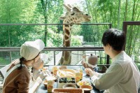 グランピング施設「THE BAMBOO FOREST」で「キリンと朝食」オプションが再開！夏限定流しそうめんや地元食材BBQも