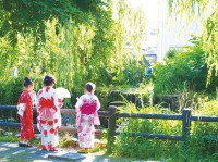 初夏の夜空を彩るホタル観賞イベント「福生ほたる祭」開催
