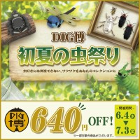 DIG博 初夏の虫祭り開催！人気ソフビが640円OFFになるお得なセール