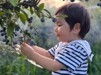 手賀沼周辺で「農」の恵みを満喫！体験スポットから特産品まで