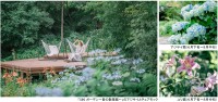 ROKKO森の音ミュージアムで「SIKIガーデンSummer Season “Symphony”」開催