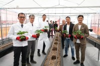 「Honda Sun × ENOWA FARM LAB」プレスプレビュー開催：多様な人が関わる農業の形を大分・湯布院から発信