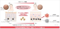 ノエビアグループ、大豆イソフラボン研究の新知見を発表：肌免疫バランスを整える「音更大袖」由来発酵液の効果を解明