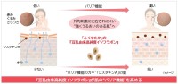 ノエビアグループ、九州産大豆「ふくゆたか」由来イソフラボンが肌バリア機能強化に貢献する新知見を発表