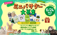 ドギーマン、「ミニアニマン」をPRする「ミニバサダー」第4期生を募集開始