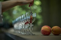 福島県産桃を贅沢に味わう！PATISSERIE ASAKO IWAYANAGIと贈る「福島の桃のデセールコース」