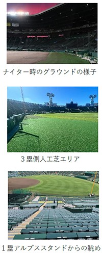 阪神甲子園球場で特別な夜の運動体験「夜トレ！甲子園2026」開催