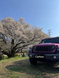 「Carkus」登場、AIでナンバープレート自動加工するブラウザアプリ