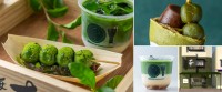 熱海に抹茶スイーツの新名所誕生！「熱海さとり本店 おこいちゃ茶房」が熱海駅前に7月4日(土)オープン