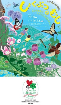 六甲高山植物園で「しょくぶつとむし」イベント開催、植物と虫の深い関わりを学ぶ