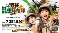 渋谷で世界のカブクワに触れる！小学生向け昆虫イベント「渋谷昆虫探検隊」開催