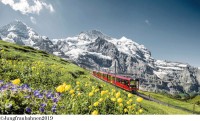 乗ってみたい海外の鉄道・列車ランキングTOP10！スイスの絶景列車が上位を独占