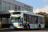 パパイヤ発酵食品が職業ドライバーの疲労回復と視野改善に寄与する可能性