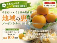 ファミリーファッションやまだいがうきは産の梨をプレゼントする地域応援キャンペーンを開催
