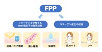 パパイヤ発酵食品FPPが皮膚老化を抑制、大里研究所が共同研究成果を発表