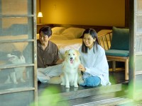 愛犬と泊まれる古民家リトリート赤城山 - 懐 - が夏の会席と記念日プランの販売を開始