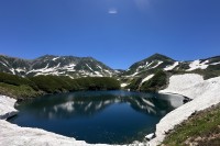 立山黒部アルペンルートで夏を涼しく楽しむキャンペーンと最新情報