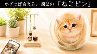 愛猫の毛でつくる思い出アイテム「ねこビン」がMakuakeに登場