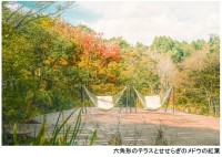六甲山のSIKIガーデンで秋の彩りを楽しむ「SIKIガーデンAutumn Season」開催