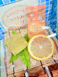 夏のお出かけに最適！新東名NEOPASA駿河湾沼津下りで味わう静岡の夏グルメと手土産