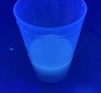 GSアライアンス、カリブ海の海藻「サルガッサム」から炭素量子ドットの合成に成功