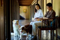 愛犬と泊まれる古民家リトリート「赤城山 - 懐 -」が開業1周年記念プランを販売開始