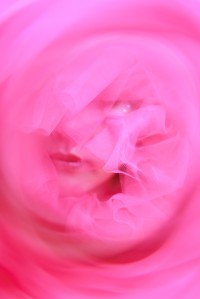 写真家・清田大介と女優・彩月貴央による写真展『LUMINA』が恵比寿で開催