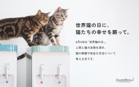 コスモウォーターが世界猫の日にあわせたInstagramキャンペーンと新規契約特典を実施
