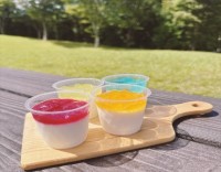 東名足柄SA上りで爽やかな夏を彩る『彩りパンナコッタ』販売開始