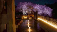 證大寺が猛暑の熱中症対策として夜間のお墓参り「夕涼み参り」を提案