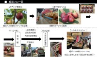 河南町産完熟イチジクを近鉄電車で輸送し大阪阿部野橋駅で即日販売