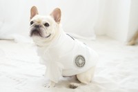 スウィートマミーがペット用「空調ペット服(R)」を発売