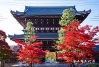 金戒光明寺で「秋の特別拝観」開催、紅葉と歴史遺産を堪能