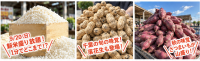 道の駅木更津うまくたの里で秋の大収穫祭を開催