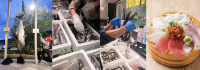 漁港の駅TOTOCO小田原で「出世魚祭り」開催、シルバーウィーク限定グルメや体験イベントも