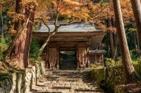 MIHO MUSEUMにて秋季特別展「百済寺と近江の仏教美術」開催