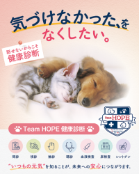 ペットの健康診断の日を記念し、Team HOPEと協賛22社が定期検診の重要性を啓発