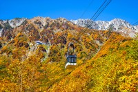 立山黒部アルペンルートで紅葉と音楽を楽しむイベント開催