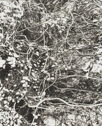 市川孝典の個展「FLEETING DAYS」が渋谷で開催、線香で描く記憶の肖像