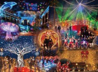 和歌山マリーナシティで10周年を祝う光の祭典「フェスタ・ルーチェ」開催