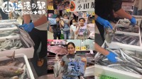 漁港の駅TOTOCO小田原で鮮魚の詰め放題イベント開催