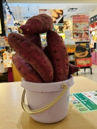 Pasar幕張で千葉県産さつまいもを満喫する秋の特別企画