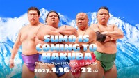 相撲エンタテインメントショー「The Sumo Show HIRAKUZA in HAKUBA」開催決定