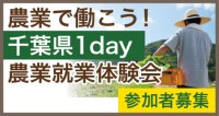 千葉県で農業を体験しよう！「1day農業就業体験会」参加者募集開始