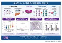 脂肪肝の進行リスクを血液で予測する「補体C7」の有用性を解明