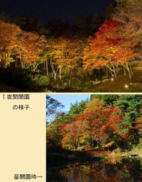 六甲高山植物園で紅葉の夜間延長営業がスタート