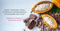 Chula's "Innovation Center for Research and Development of Sustainable Thai Cocoa" - Thailand's Solution to Cocoa Price Crisis